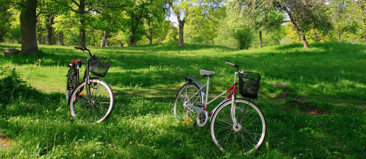 The Shakespeare Gardens